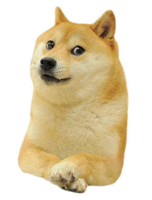 doge1
