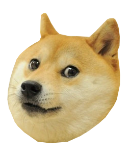 doge2