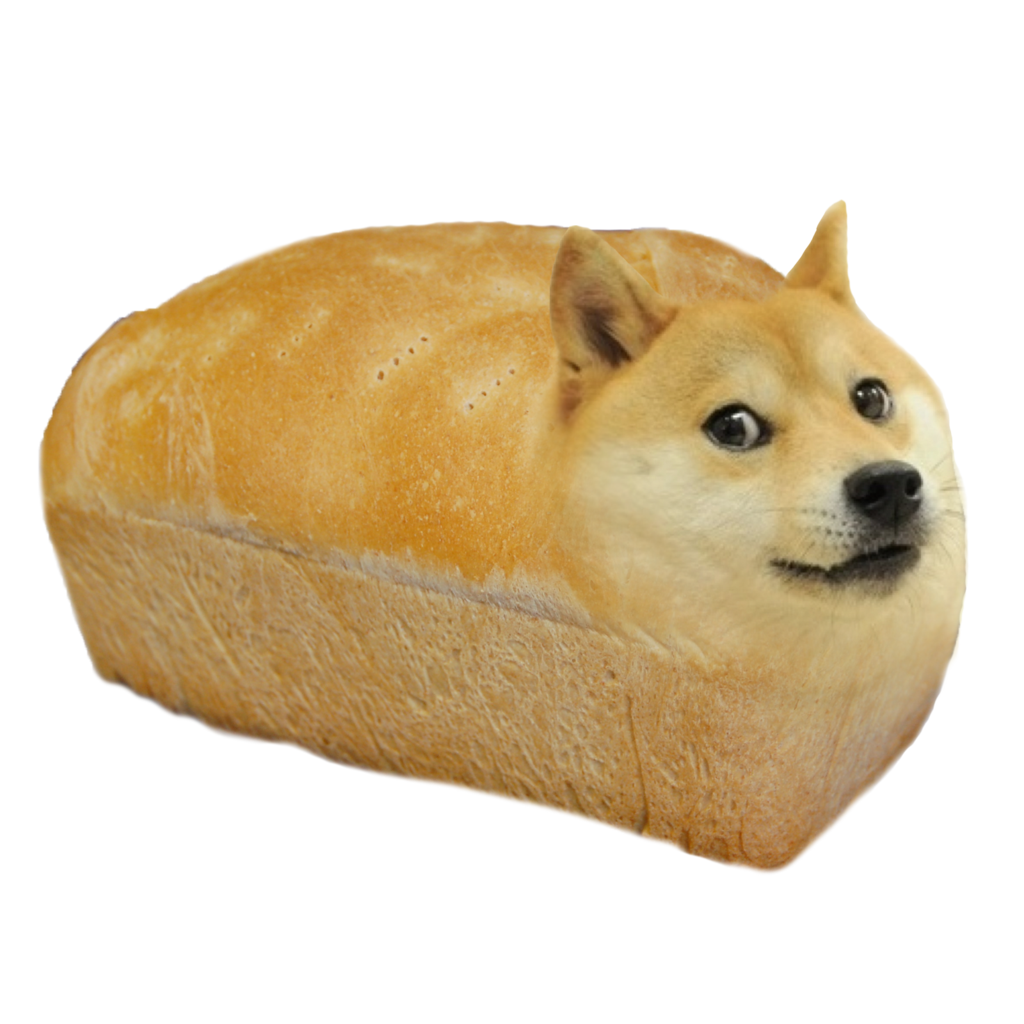 doge4