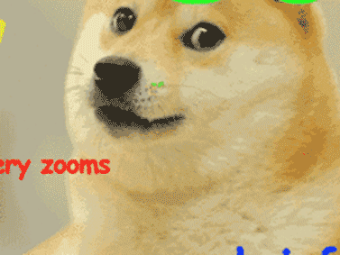 much_doge